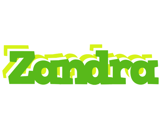 Zandra picnic logo