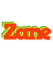 Zane bbq logo