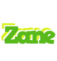 Zane picnic logo