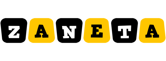 Zaneta boots logo