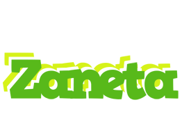 Zaneta picnic logo