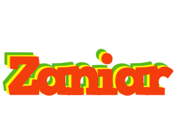 Zaniar bbq logo