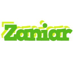 Zaniar picnic logo