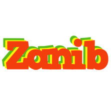 Zanib bbq logo