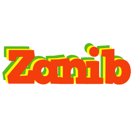 Zanib bbq logo