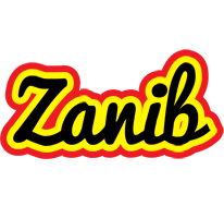 Zanib flaming logo