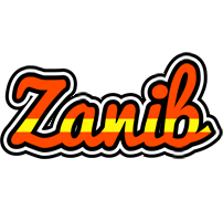 Zanib madrid logo