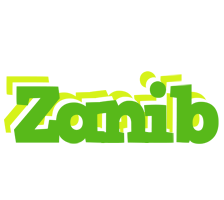 Zanib picnic logo