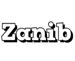 Zanib snowing logo