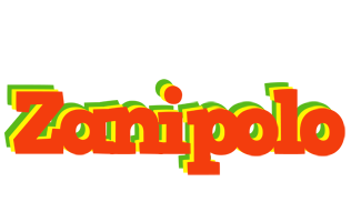 Zanipolo bbq logo