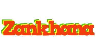 Zankhana bbq logo