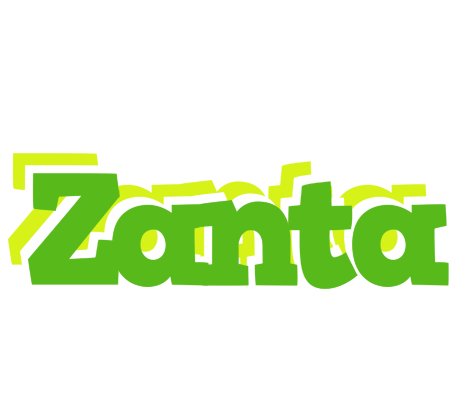 Zanta picnic logo