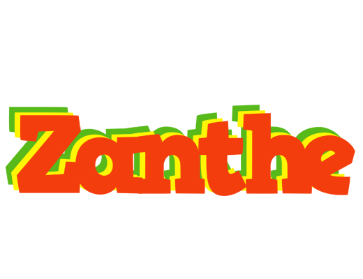 Zanthe bbq logo