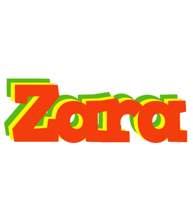 Zara bbq logo