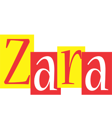 Zara errors logo