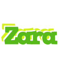 Zara picnic logo