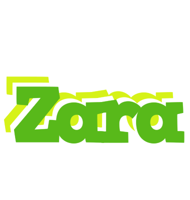 Zara picnic logo