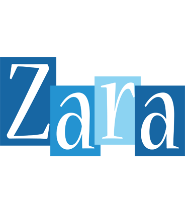 Zara winter logo