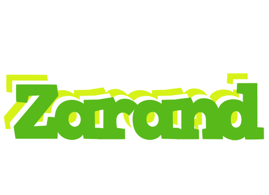 Zarand picnic logo