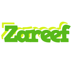 Zareef picnic logo