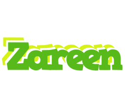 Zareen picnic logo