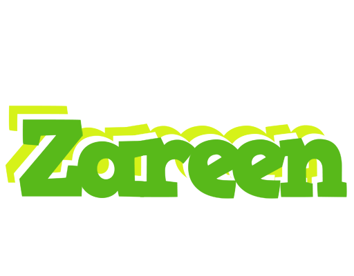 Zareen picnic logo