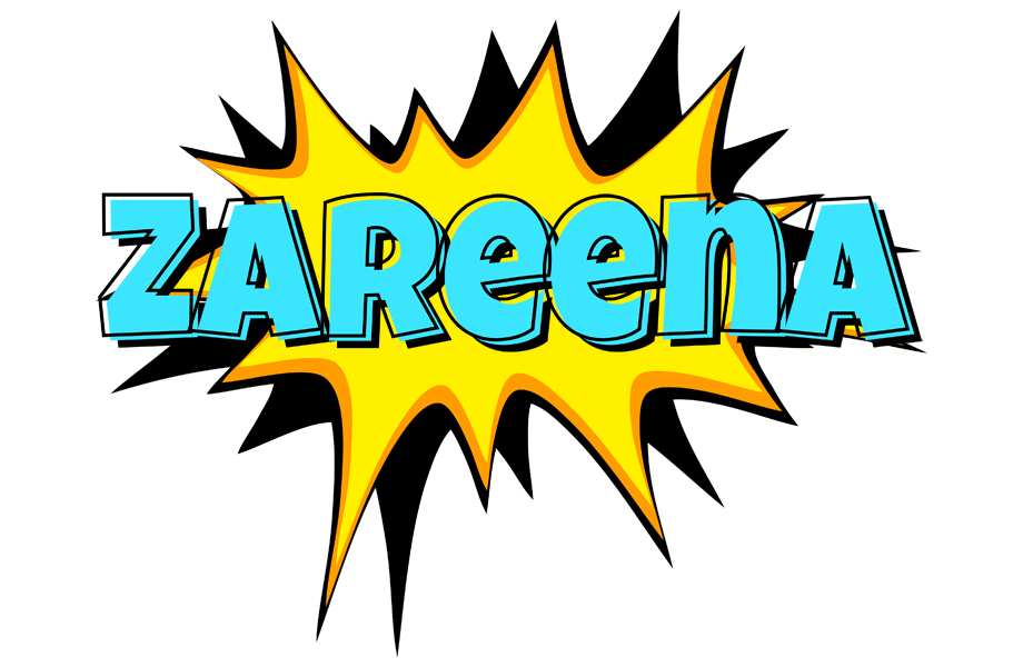 Zareena indycar logo