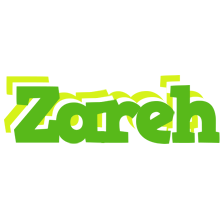 Zareh picnic logo
