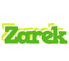 Zarek picnic logo