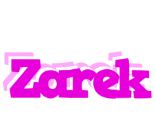 Zarek rumba logo