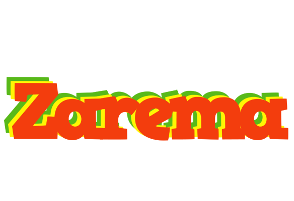 Zarema bbq logo