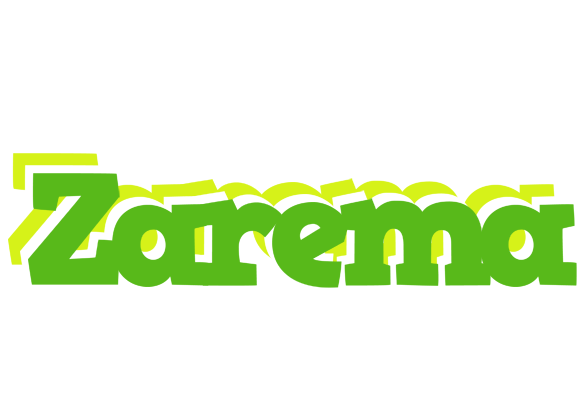 Zarema picnic logo
