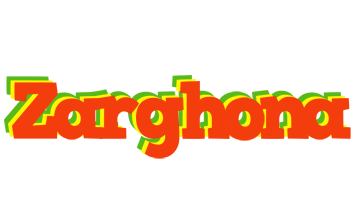 Zarghona bbq logo