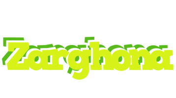 Zarghona citrus logo