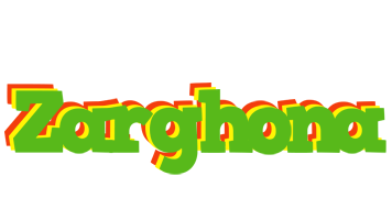 Zarghona crocodile logo