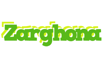 Zarghona picnic logo