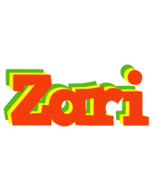 Zari bbq logo