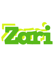 Zari picnic logo