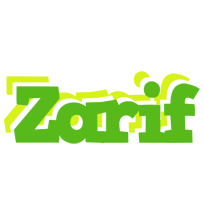 Zarif picnic logo