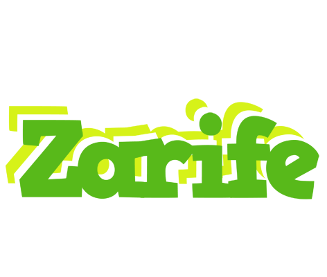 Zarife picnic logo