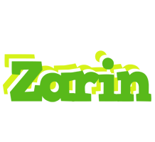 Zarin picnic logo