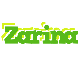 Zarina picnic logo