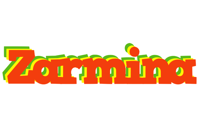 Zarmina bbq logo