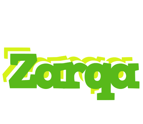 Zarqa picnic logo