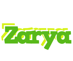 Zarya picnic logo