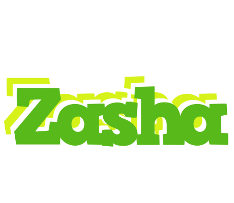 Zasha picnic logo