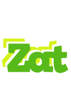 Zat picnic logo