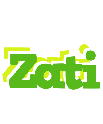 Zati picnic logo