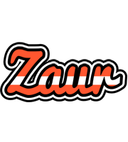 Zaur denmark logo