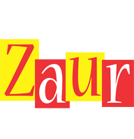 Zaur errors logo